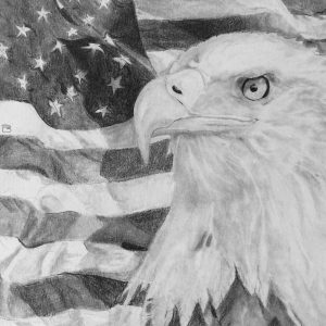 Eagle American drawing