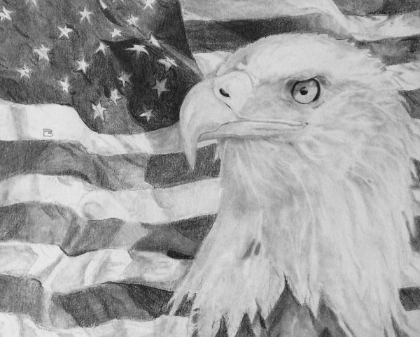 Eagle American drawing