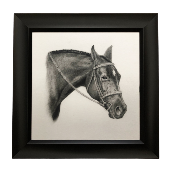 Framed horse drawing