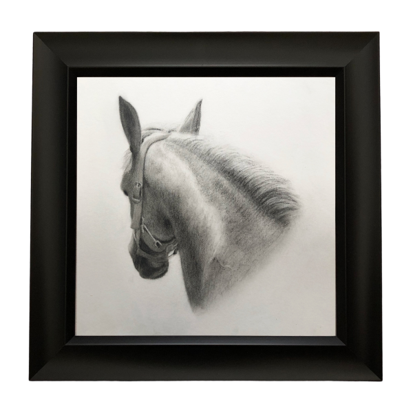 Framed horse drawing for sale