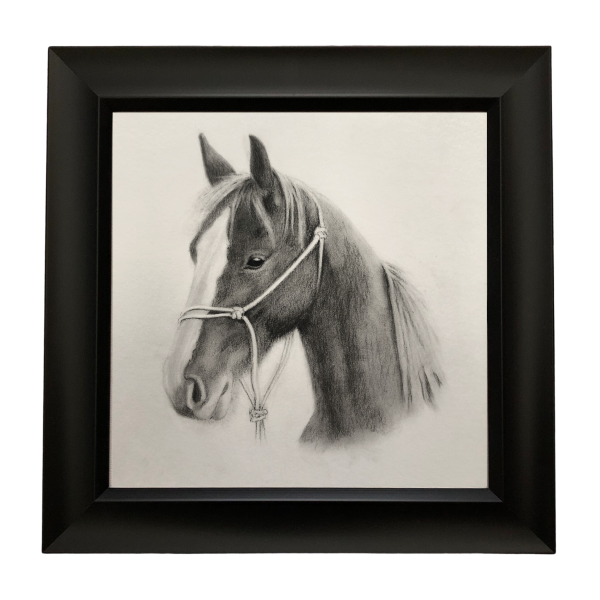 Framed horse drawing in charcoal